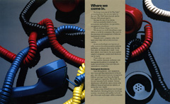 deloitte corporate brochure